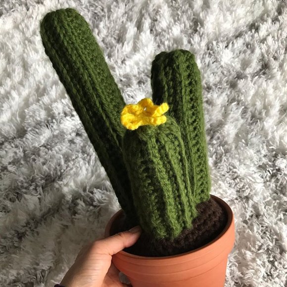 Sandy P Sr. - Three Column Stem Cactus in Planter - Picture 3 of 5